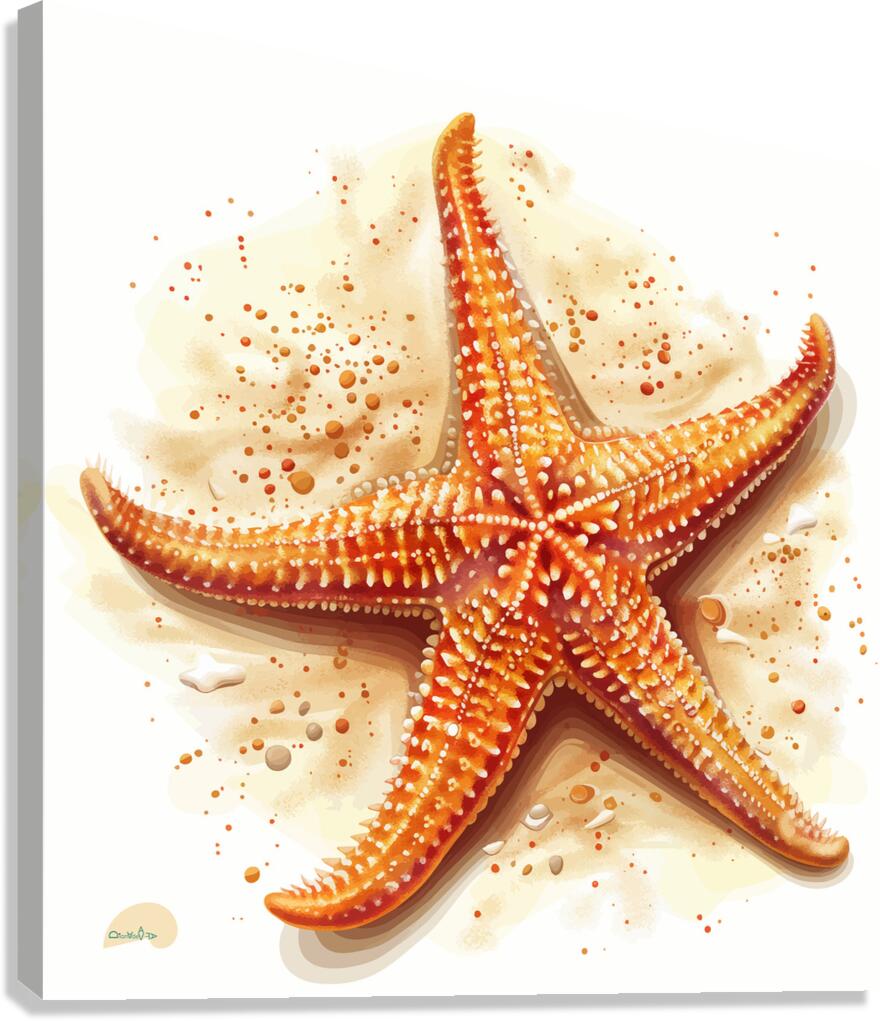 Starfish Solo  Canvas Print
