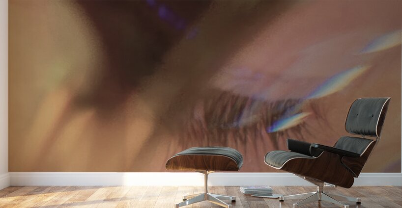 Through the Artists Eye  Wall Murals