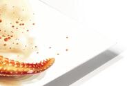 Starfish Solo HD Metal print