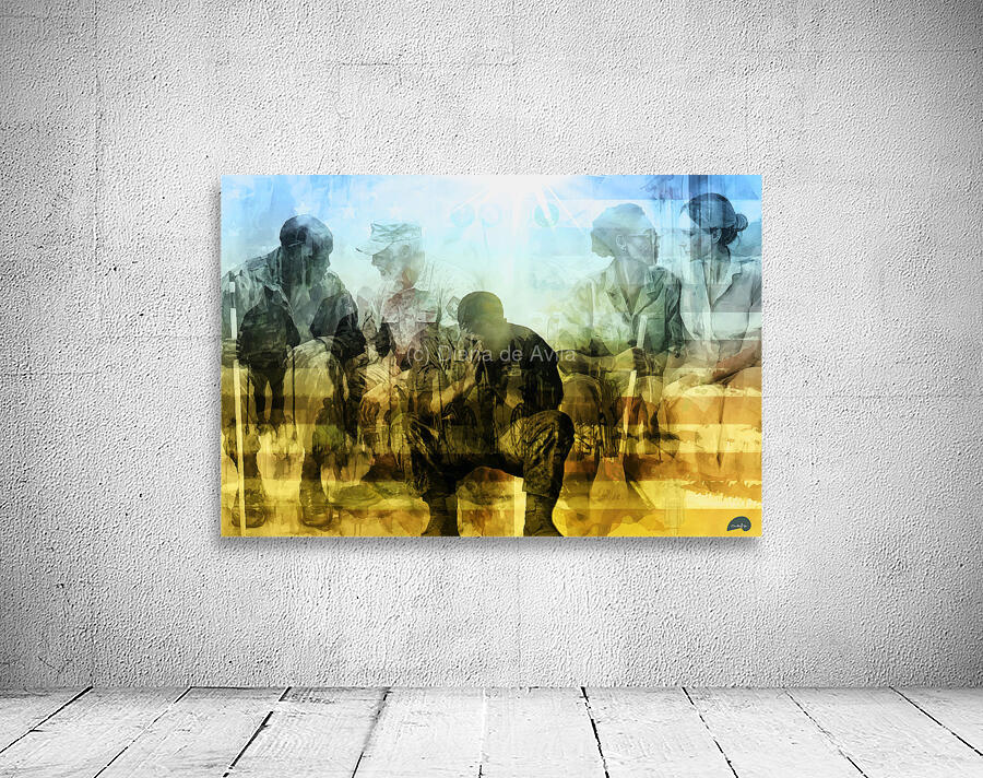 Transitions Wall Preview