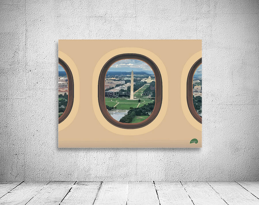 Birdseye - DC - Canada Wall Preview