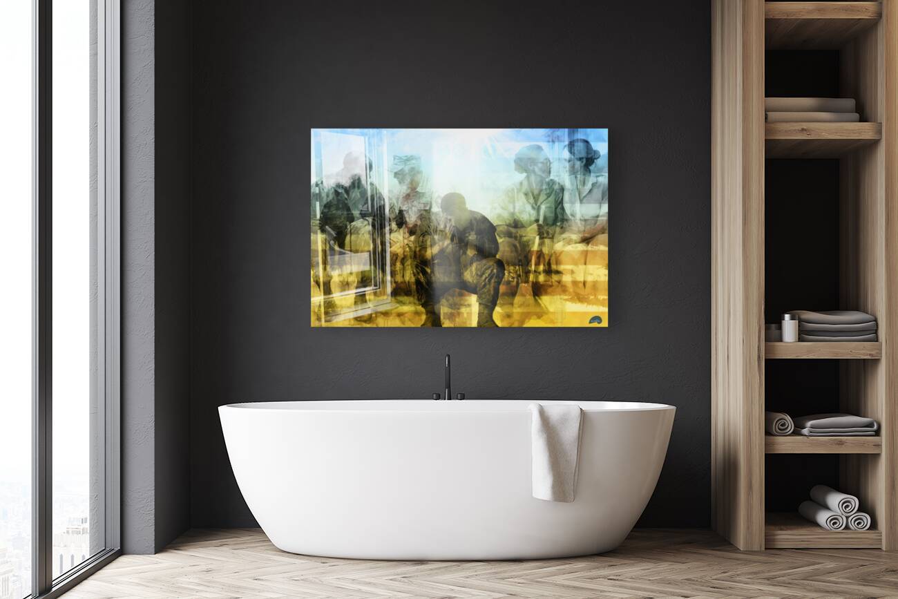 Transitions Reproduction